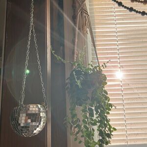 Disco ball plant holder!